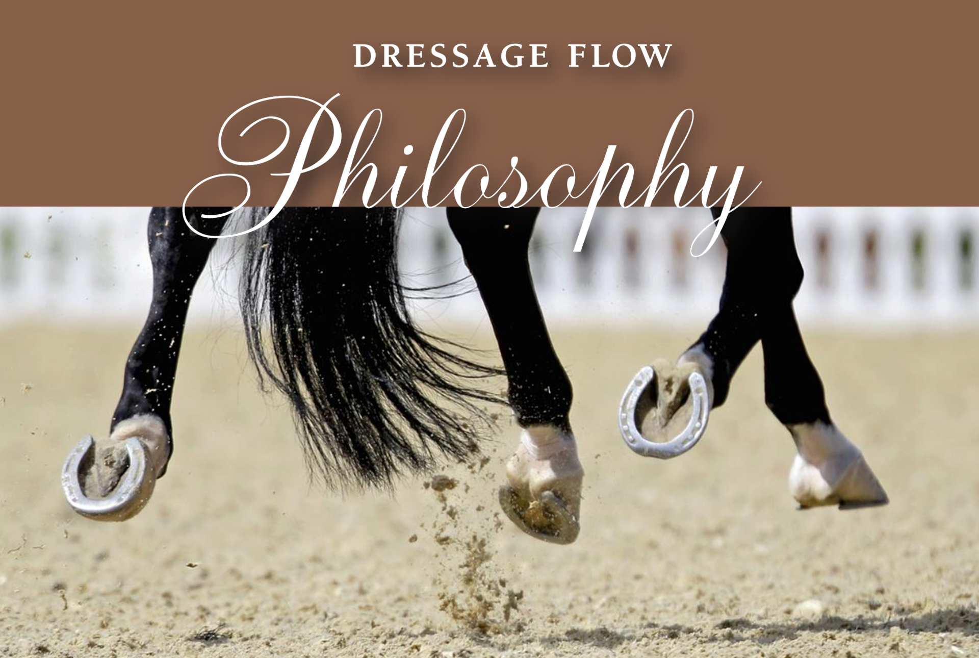 Dressage flow; Dressageflow; Dressage training Philosophy; How dressage works, good horse trot