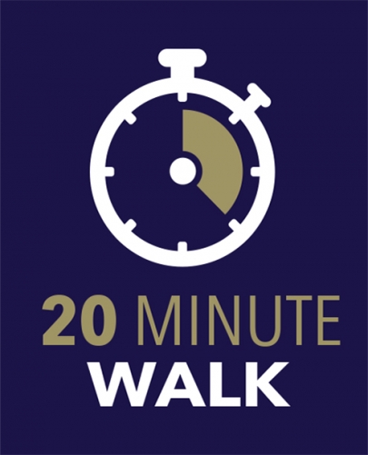 equine 20 minute walk poster